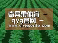 种植基地六(图1)