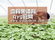 种植基地三