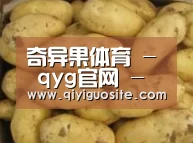 产品展示标题6