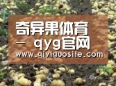 种植基地七