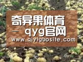 种植基地八(图1)