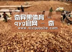 种植基地二