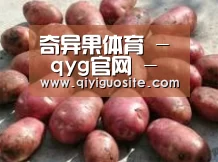 产品展示标题5