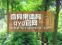 种植基地九