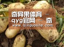 产品展示标题2