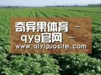 种植基地五(图1)