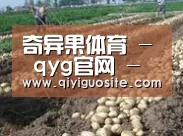种植基地八