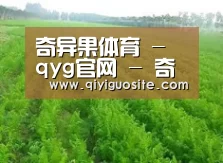 种植基地四