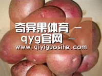 产品展示标题1