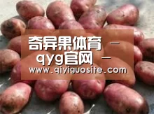 产品展示标题5(图1)