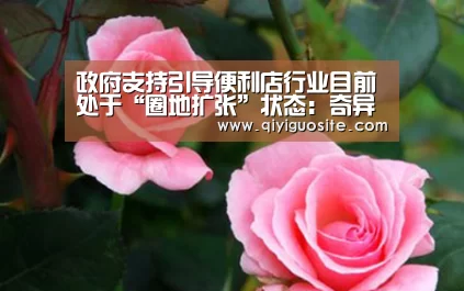 政府支持引导便利店行业目前处于“圈地扩张”状态:奇异果官网首页(图3) 奇异果官网首页直播