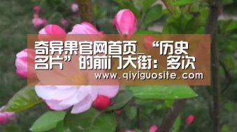 奇异果官网首页_“历史名片”的前门大街:多次改造难逃半新半旧尴尬局面(图3) 奇异果官网首页