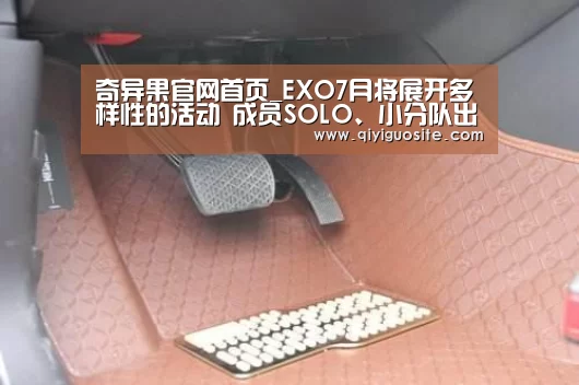 奇异果官网首页_EXO7月将展开多样性的活动 成员SOLO、小分队出道、演唱会火热来袭(图1) 奇异果官网首页直播