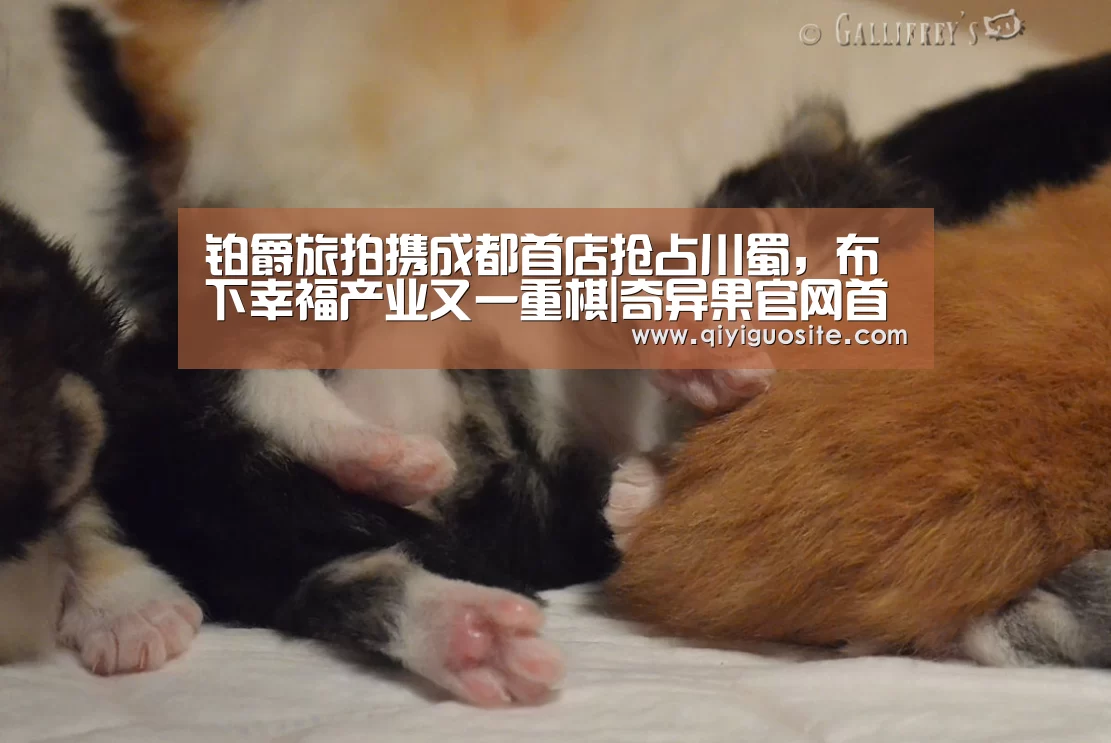 奇异果官网首页