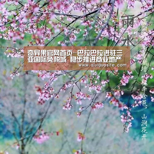 奇异果官网首页